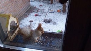 морозный четверг