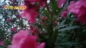 ПОЧЕМУ БЕЗ ОДНОГО НЕЛЬЗЯ