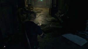 Resident Evil 4 ,  24 прохождение .