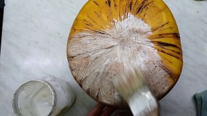 Сырные хитрости. И снова аффинаж сыров