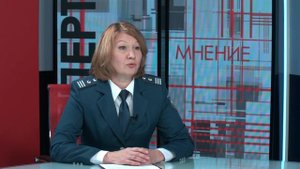 Экспертное мнение. Налоги 06.11.2025