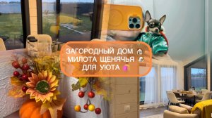 🟣УТРО В ДОМЕ🏡ЗА ГОРОДОМ☕️ПОКУПКИ ДЛЯ КУХНИ🛍️СЫРНЫЙ СУП 🥣 МНОГО МАЛЕНЬКИХ СОБАК 🐶🐶🐶
