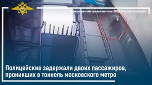Полицейские задержали двоих пассажиров, проникших в тоннель московского метро