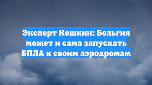 Эксперт Кошкин: Бельгия может и сама запускать БПЛА к своим аэродромам