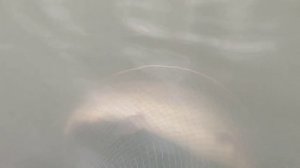 WhatsApp Video 2025-11-06 at 09.59.03