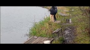 Светлые Горы Щука 06.11.2025г.