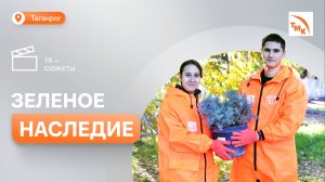 Сотрудники ТАГМЕТа высадили более 100 саженцев деревьев