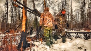 УБИТЫЙ ДЕНЬ В ТАЙГЕ. ОХОТА НА СОБОЛЯ.