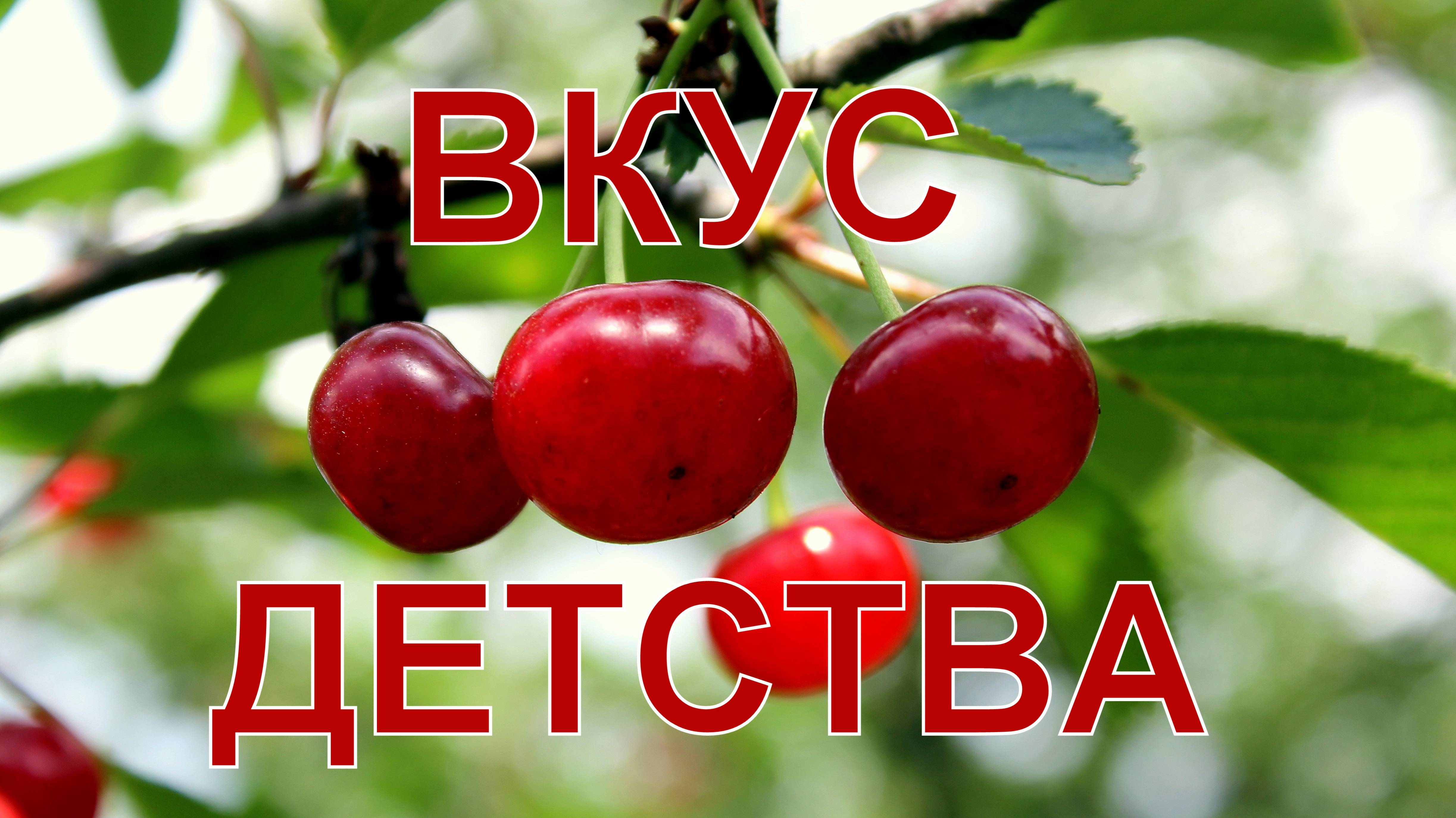 Вишневое варенье вкусное, рецепт вишня без косточек.