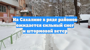 На Сахалине в ряде районов ожидается сильный снег и штормовой ветер