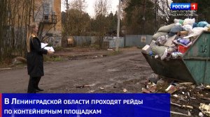 В Ленинградской области проходят рейды по контейнерным площадкам