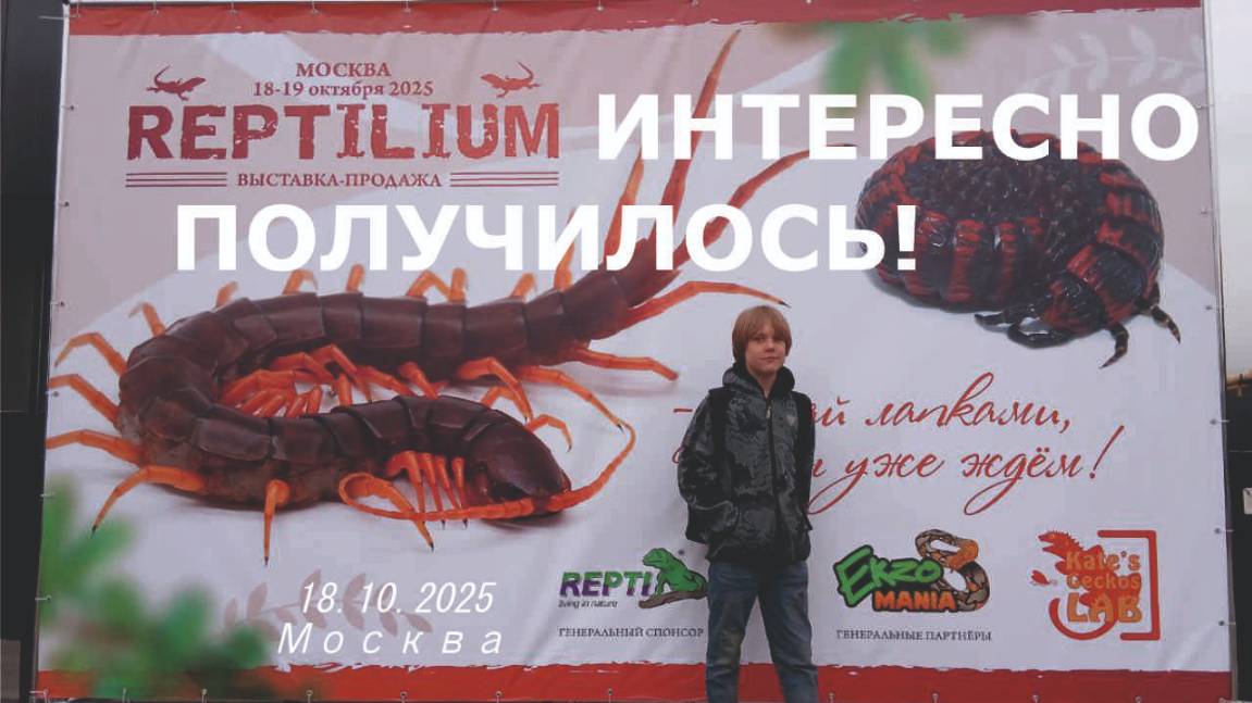 РЕПТИЛИУМ 18.10.2025 ИНТЕРЕСНО ПОЛУЧИЛОСЬ! смотреть онлайн