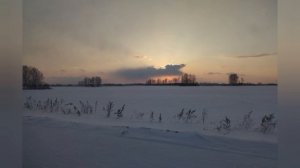 Защитники леса