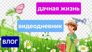 ВЛОГ: Дачный сезон. Жизнь на даче . Садоводство. #дача #огород #садоводство