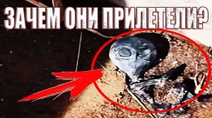 Пришелец из Боливии и Кыштымский карлик прилетели на Землю из одной звездной системы?