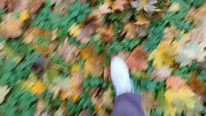 #золотая осень