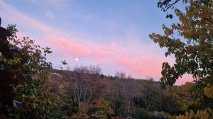 Песенная Медитации на Чайном Дворике 🎼🎧🎻🔥06.11.2025