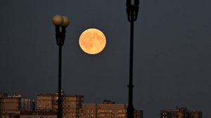 Бобровая Луна, выброс плазмы и болид: марафон космических явлений в небе России