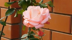 05=11=2025  уни  ПВН   (97)