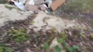 Мусорка на Локомотивной, 147 заросла отходами