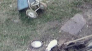 Кошке надоело сидеть в засаде, пить захотела      ПОДПИШИСЬ