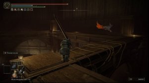 Elden Ring Shadow of the Erdtree - Задняя часть хранилища