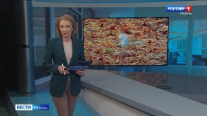 Эфир от 06.11.2025 (09:30)