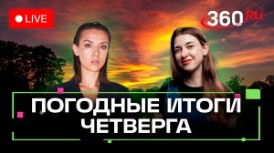 Хаски на колесах, ориентирование без навигатора и первая елка. Погода на 7 ноября. Метеострим 360