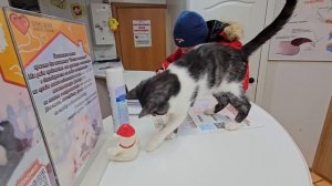 Болезнь отняла у него глаз, но не смогла отнять мечту о семье! | Ёки дома!