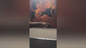 НЕСКОЛЬКО ВИДЕО ДЛЯ ГЛУХИХ 7 НОЯБРЯ 👍