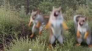 Создание видео с помощью ии