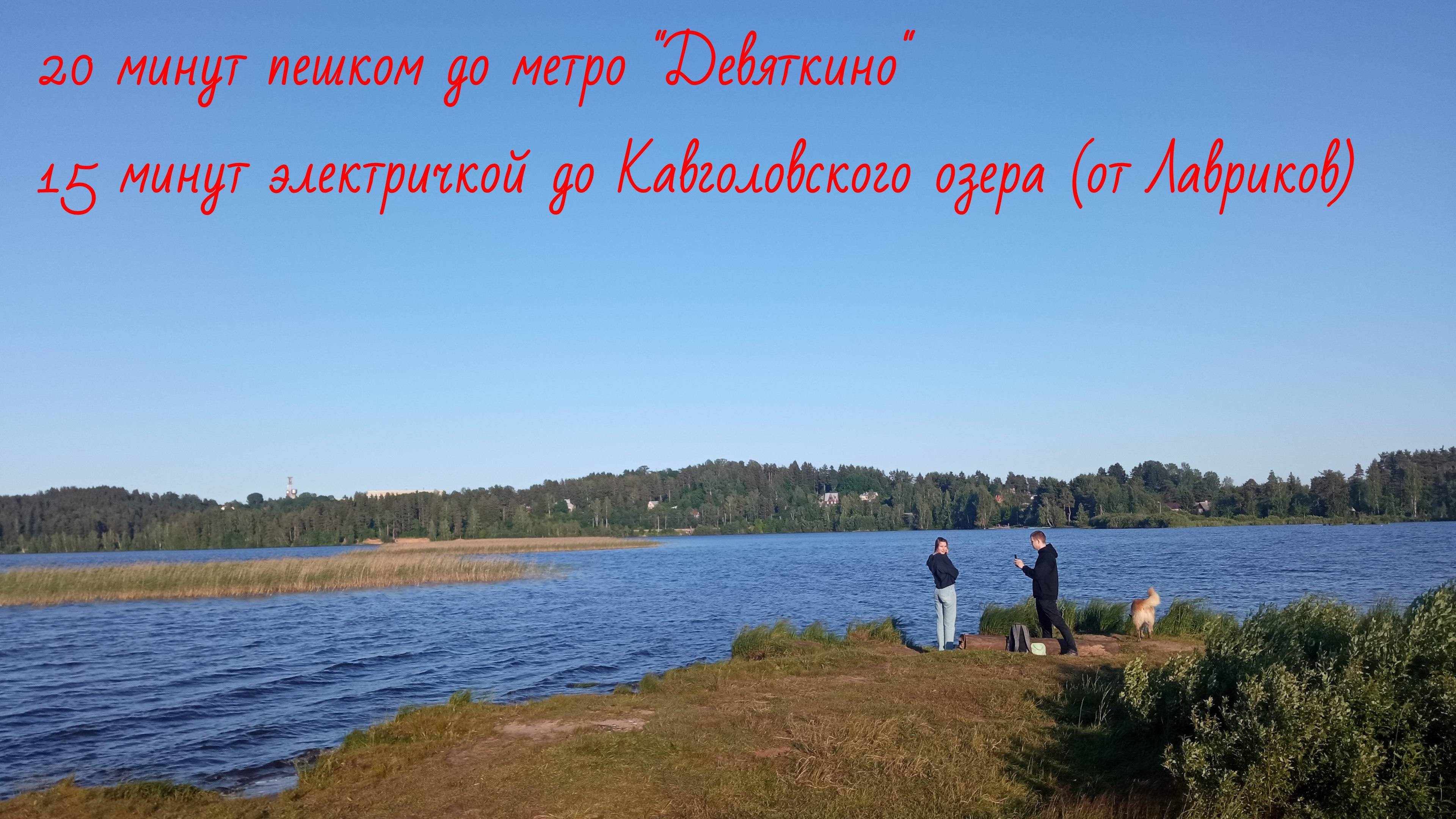 Снять пустую квартиру на шоссе в Лаврики в Девяткино
