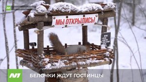 В «Ягоме» продлили акцию «Кормушка добра». Нижневартовск