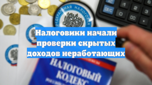 Налоговики начали проверки скрытых доходов неработающих