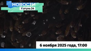 Новости Алтайского края 6 ноября 2025 года, выпуск в 17:00