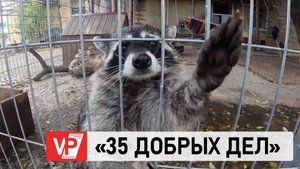 СОТРУДНИКИ МЧС РОССИИ ОКАЗАЛИ ВОЛОНТЕРСКУЮ ПОМОЩЬ ВОЛГОГРАДСКОМУ ПРИЮТУ ДЛЯ ЖИВОТНЫХ