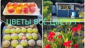 Наша Дача в Германии 🇩🇪Работа на Даче не кончается убираю Листву 🍁🍂🧹КРОТ НАКОНЕЦ-ТО УШОЛ  /