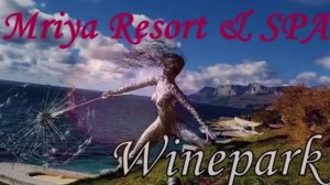 винный  парк Мрия