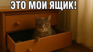 Смех до слёз: лучшие приколы №207