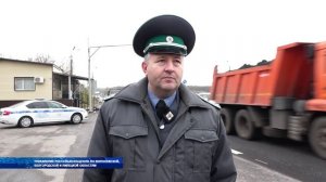 В Воронежской области с начала года инспекторами Россельхознадзора досмотрено 5000 машин