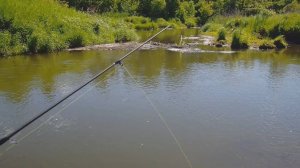 Окуней таскать спиннинг ламать