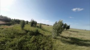 Raggapop Inc feat. Elevate - Interconnected