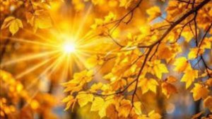 Муз.И.Ганина ,сл.Нонна Полякова #демо «Заморосило»