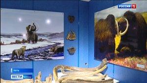 Историко-краеведческий музей Ухты получил статус комплекса и стал мультиформатным культурным хабом