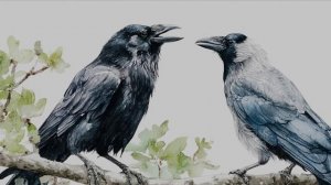 Ворона и воробей