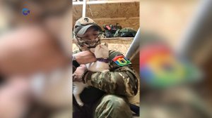 Военный из Карелии приютил кошку на передовой