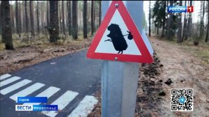 Переход для ежиков появился в Сарове