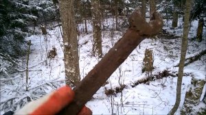 АРХИВ. Новогодний лесной коп