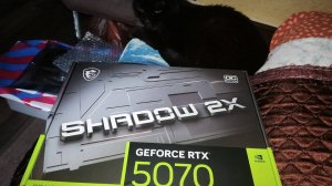 Топ-10 лучших видеокарт осенью 2025 в магазинах