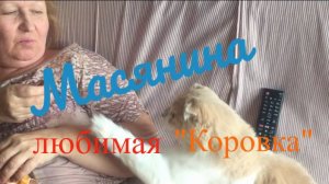Масякина любимая "Коровка"